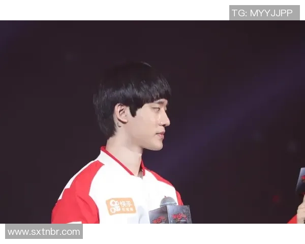 WE战队转型之路揭秘从传统强队到新兴战力的蜕变与挑战