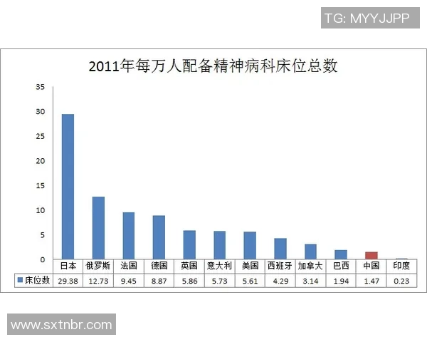 TES团队协作表现数据分析揭示的成功与挑战