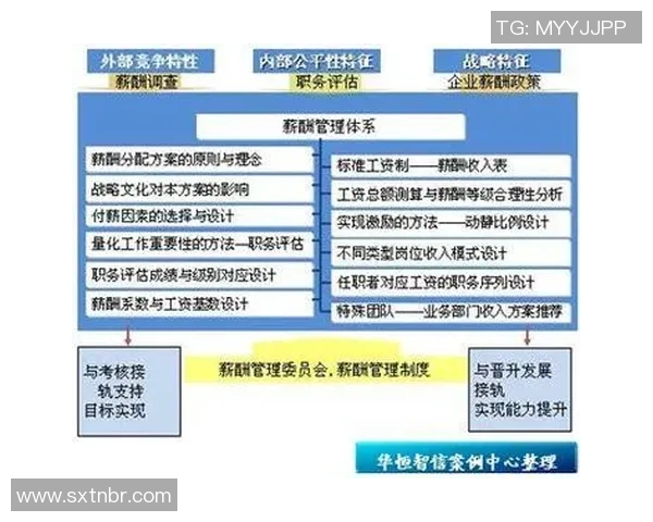 广州网球队实力深度解析与对手比较的全面评估