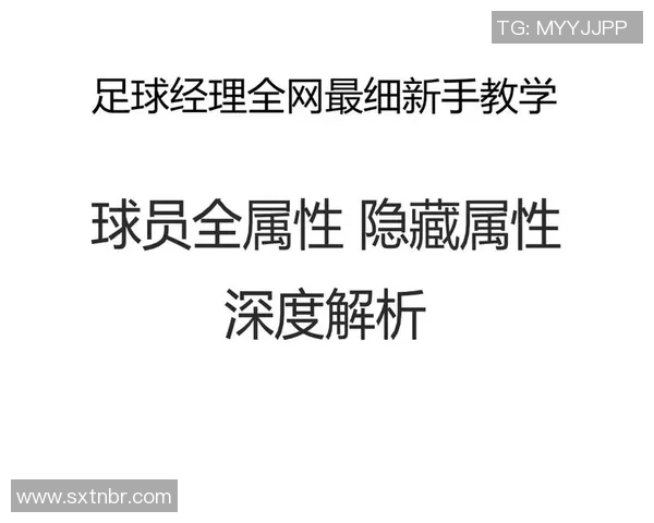 成都足球队个人能力深度解析与发展潜力探讨 成都足球队个人能力深度解析与发展潜力探讨