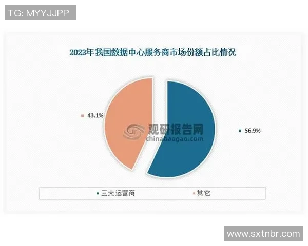 数据分析视角下LNG市场状态的全面表现与未来趋势探讨